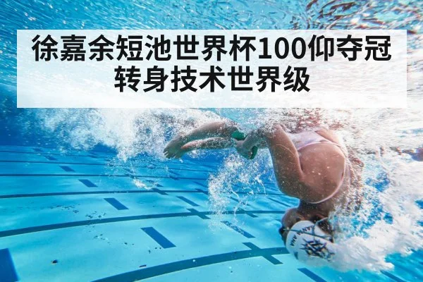 徐嘉余短池世界杯100仰夺冠 转身技术世界级